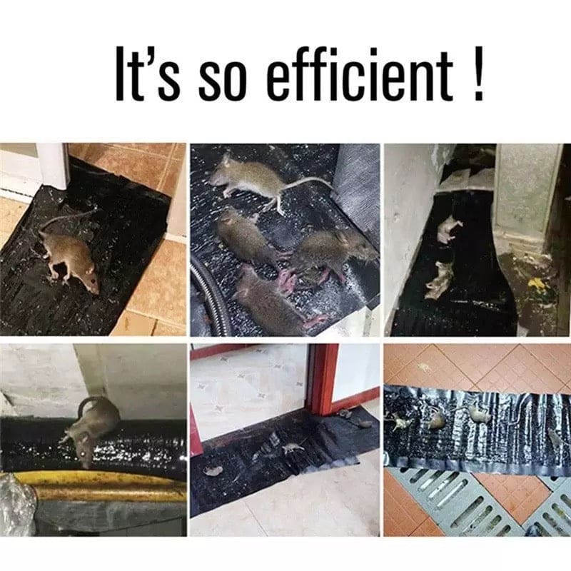 Sticky Rat Blanket, Super Glue Rat Magic Carpet, Large Size Rat Sticker, Household Insect Artifact, Mice Mouse Rodent Glue Traps Board, Mice Catcher Trap Sticky Rat Blanket, Super Glue Rat Magic Carpet, Large Size Rat Sticker, Household Insect Artifact, Mice Mouse Rodent Glue Traps Board, Mice Catcher Trap